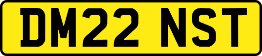 DM22NST