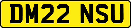 DM22NSU