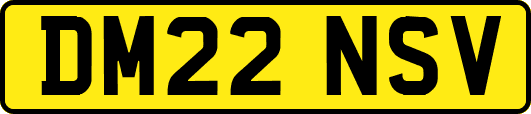 DM22NSV