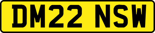 DM22NSW