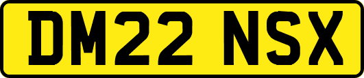 DM22NSX