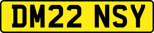 DM22NSY