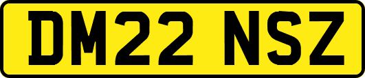 DM22NSZ