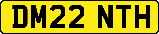 DM22NTH