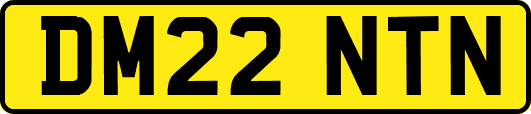 DM22NTN
