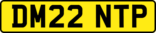 DM22NTP