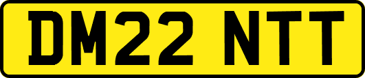 DM22NTT