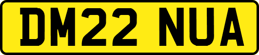 DM22NUA