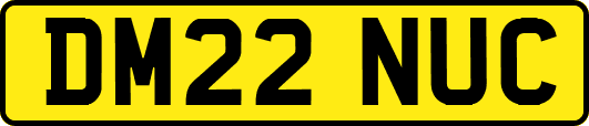 DM22NUC