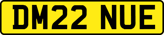 DM22NUE