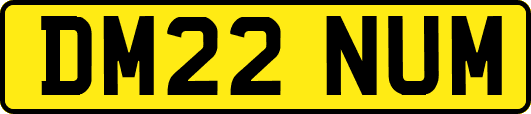 DM22NUM