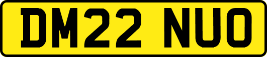 DM22NUO