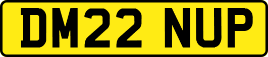 DM22NUP