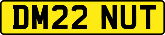 DM22NUT