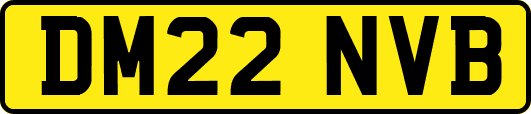 DM22NVB