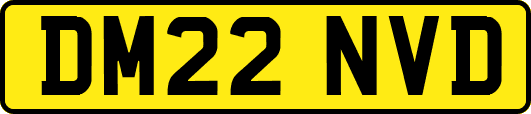 DM22NVD