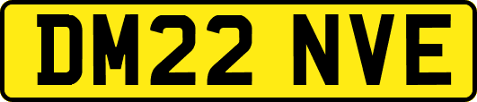 DM22NVE