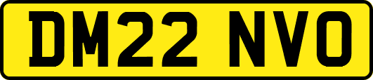DM22NVO