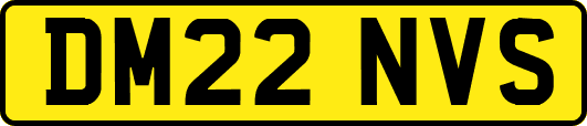 DM22NVS