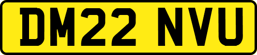 DM22NVU