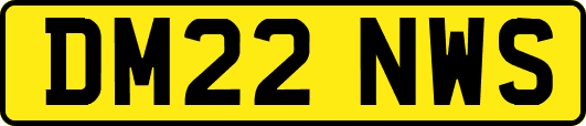 DM22NWS
