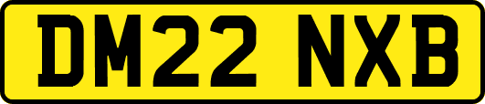 DM22NXB