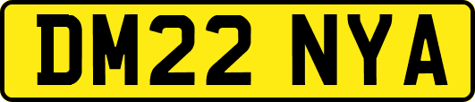 DM22NYA