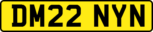 DM22NYN