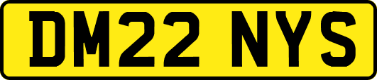 DM22NYS