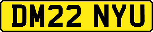 DM22NYU