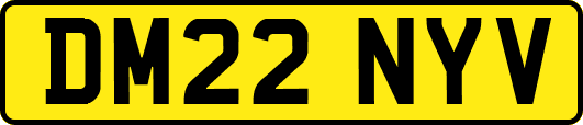 DM22NYV