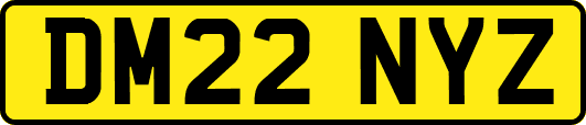 DM22NYZ
