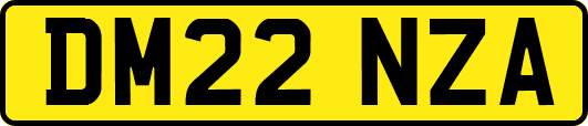DM22NZA
