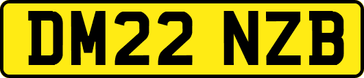 DM22NZB