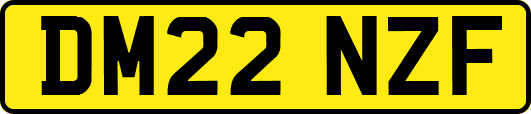 DM22NZF