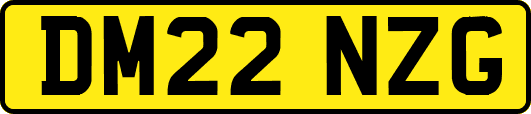 DM22NZG