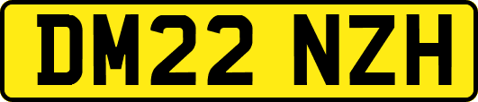 DM22NZH