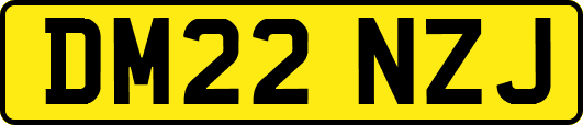 DM22NZJ