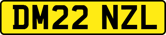 DM22NZL