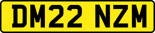 DM22NZM