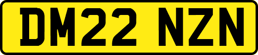 DM22NZN