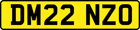 DM22NZO