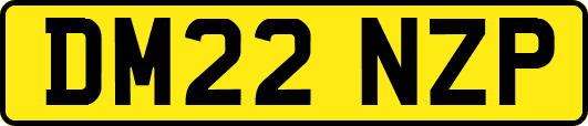 DM22NZP