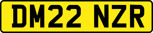 DM22NZR