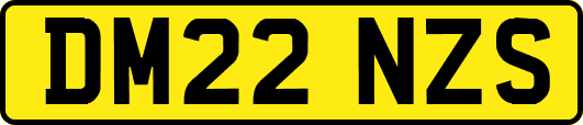 DM22NZS
