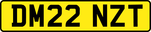 DM22NZT