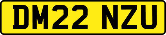DM22NZU