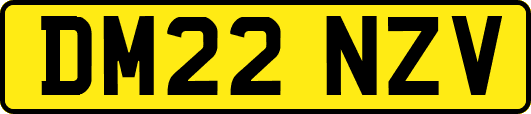 DM22NZV