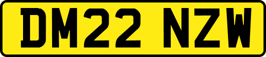 DM22NZW