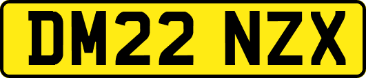 DM22NZX